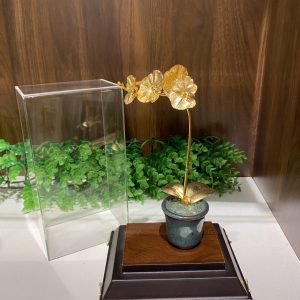quà tặng cao cấp ý nghĩa